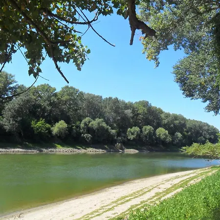 Guest house Elo Tisza Vendeghaz