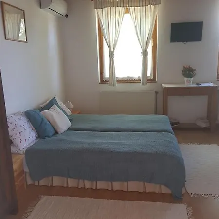 Elo Tisza Vendeghaz Guest house *