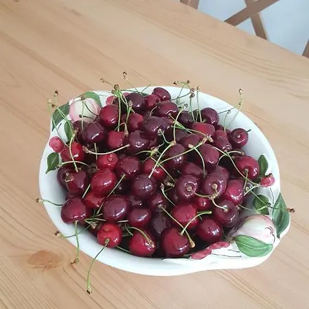Vendégház élő Tisza Nagykörű