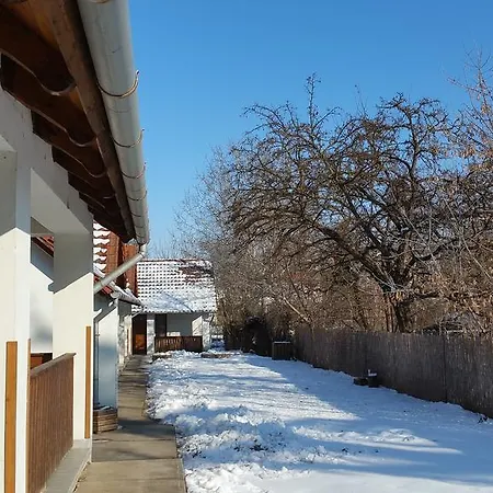 Elo Tisza Vendeghaz *