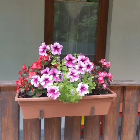 Guest house Elo Tisza Vendeghaz Nagykoru