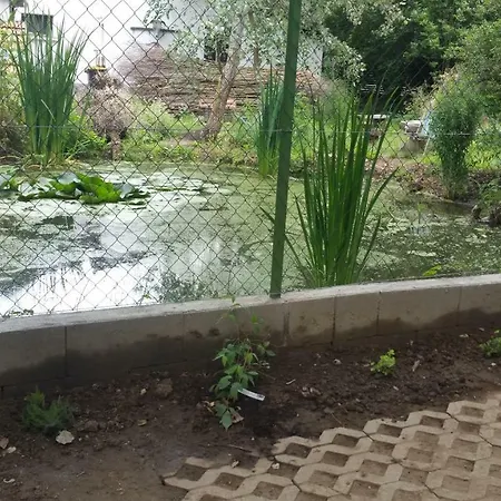 Guest house Elo Tisza Vendeghaz *