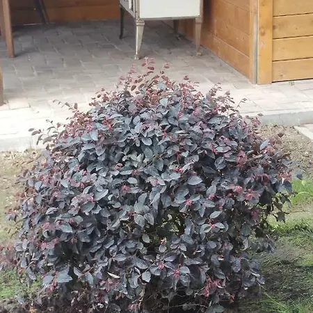 élő Tisza Vendégház *