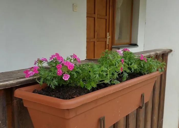 Elo Tisza Vendeghaz 3* Nagykoru