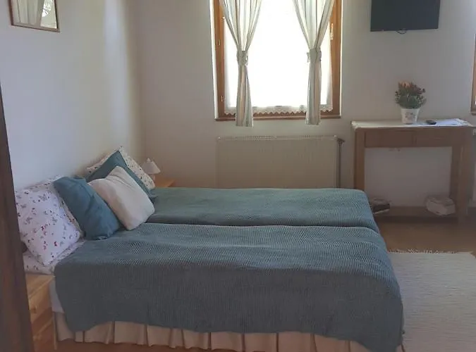 Elo Tisza Vendeghaz Pensionat 3*